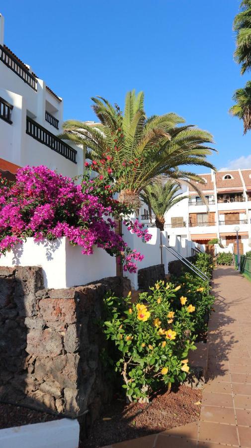 Apartamento En Tenerife Sur, Parque Santiago 2 Арона Екстер'єр фото
